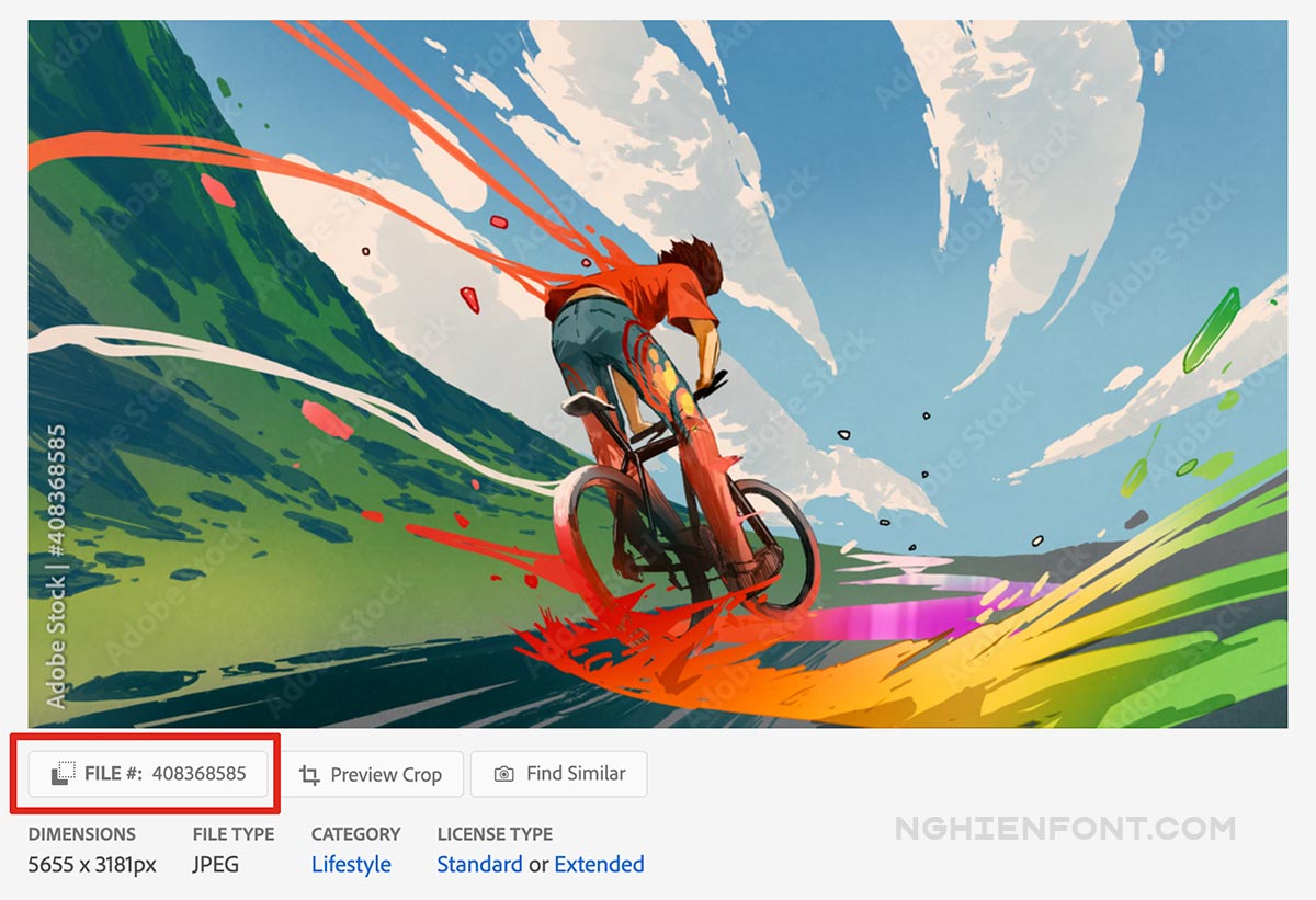 Cách tải Adobe Stock miễn phí