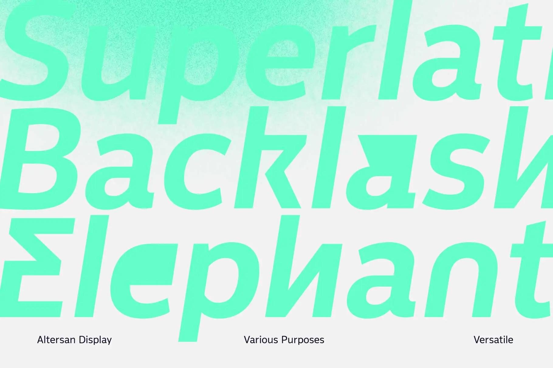 Altersan Font Family pic6
