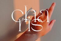 Charis Moderne Serif Free Download