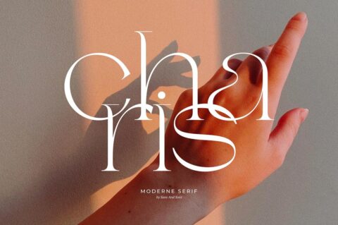 Charis - Moderne Serif Font 28 Charis Moderne Serif Free Download