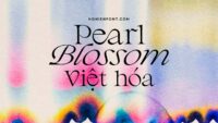 Font viet hoa BHN Pearl Blossom