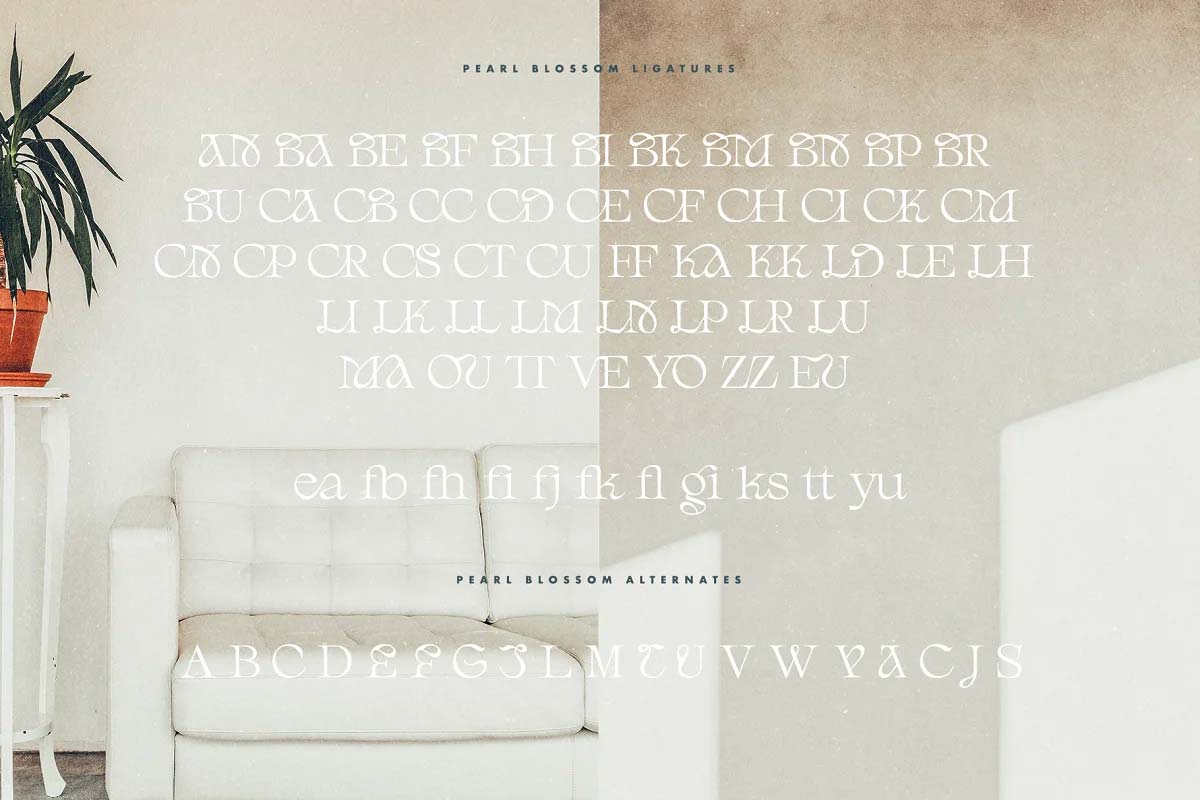 Font việt hóa BHN Pearl Blossom pic3