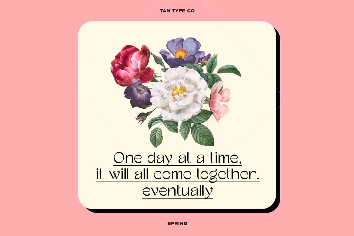 Tan Spring Font pic1