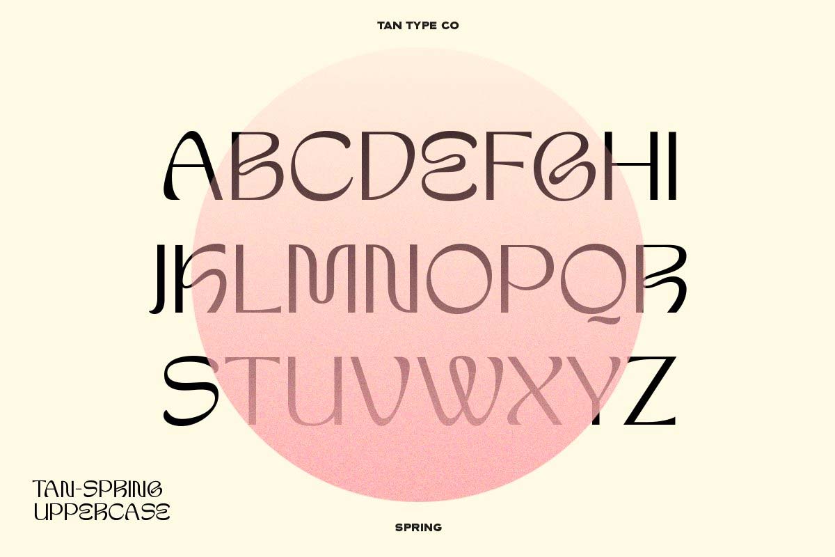 Tan Spring Font pic2