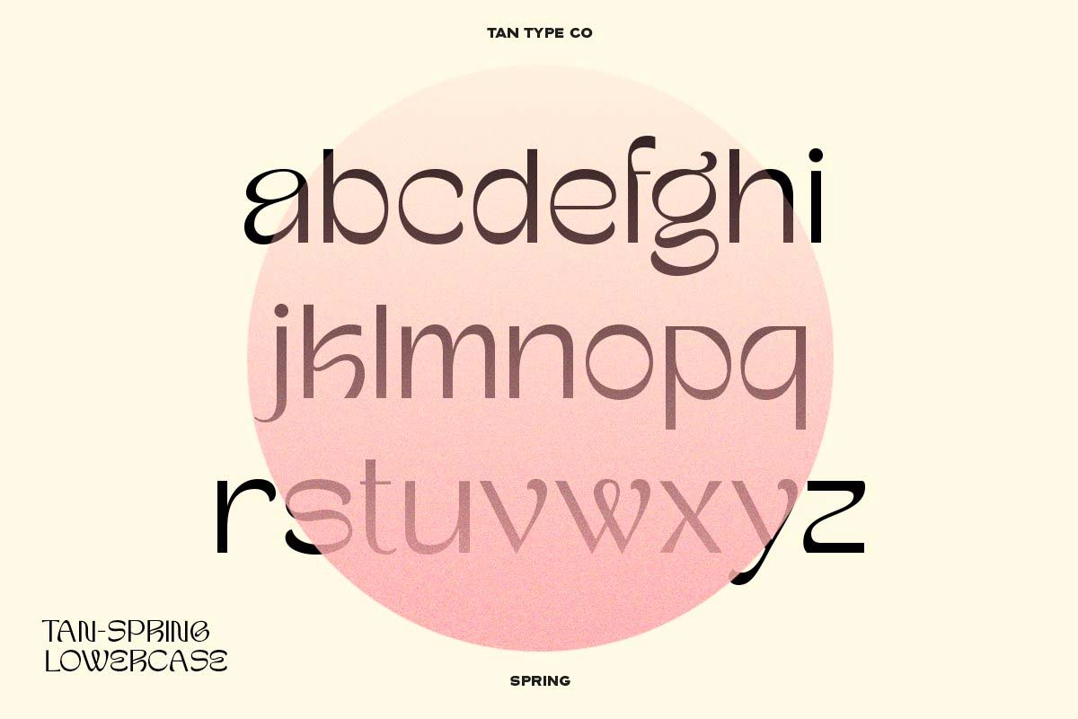 Tan Spring Font pic4