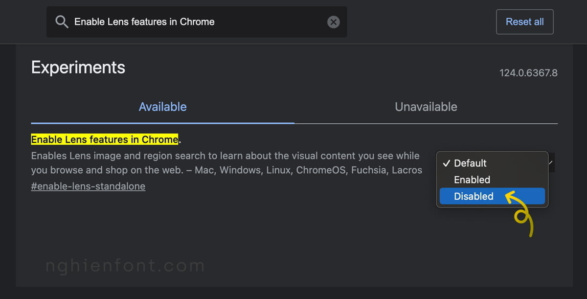 Disable Google Lens in Google Chrome 3