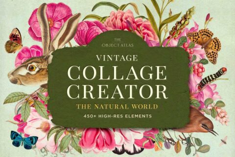 Vintage Nature Collage Creator 6651389