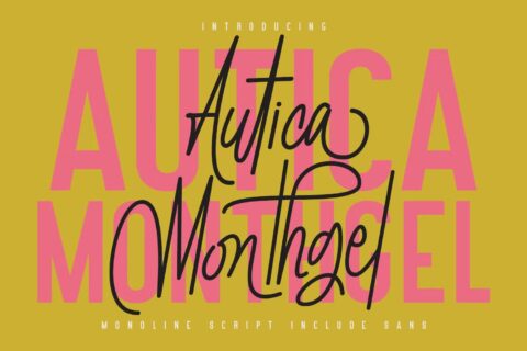 Autica Monthgel Monoline Script Sans 8 Autica Monthgel Monoline Script Sans pic1