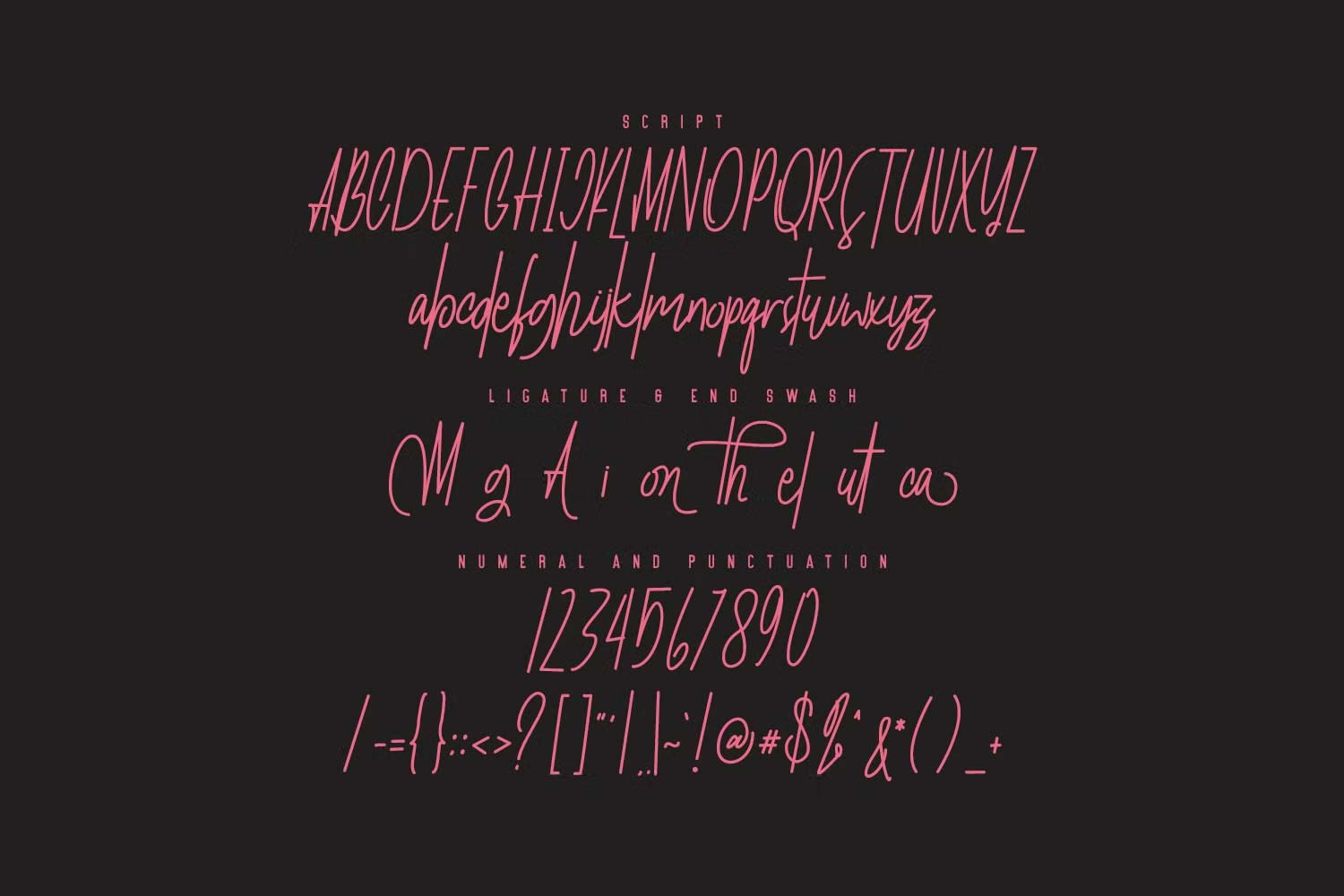 Autica Monthgel Monoline Script Sans pic5
