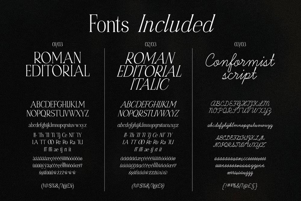 Roman Editorial Font pic4
